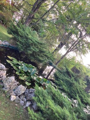 Ex Villa Gastaldi Asti Exteriér fotografie